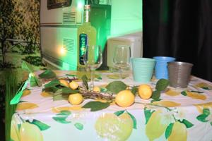 Camping Limone (127)